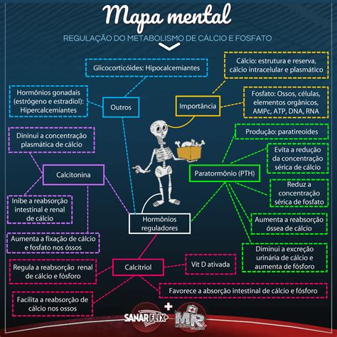 Mapa Mental Regulação Do Metabolismo De Cálcio E Fosfato Mapa Mental