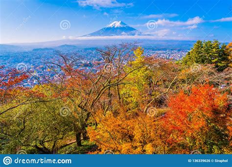Beautiful Landscape Of Mountain Fuji Around Maple Leaf Tree In Autumn