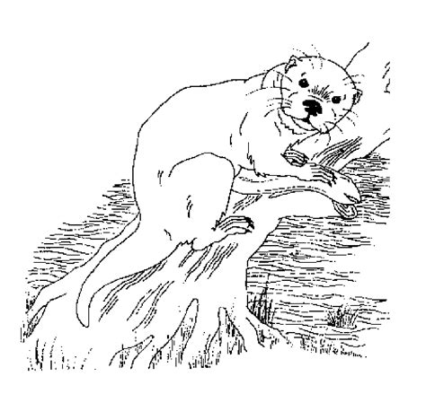 Children should have an education before going to school. Otter Coloring Pages - GetColoringPages.com