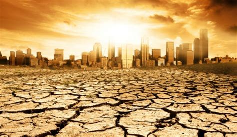 The Worst Drought Of The Millennium What It Means And How We Can Fight