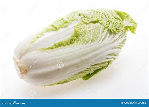 White Lettuce Or White Cabbage Stock Image Image Of Healthy Natural