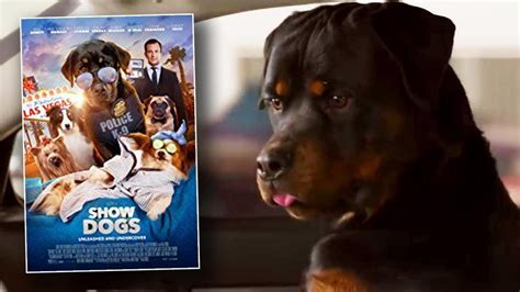 Controversial Scenes In Show Dogs Movie Will Be Deleted Youtube