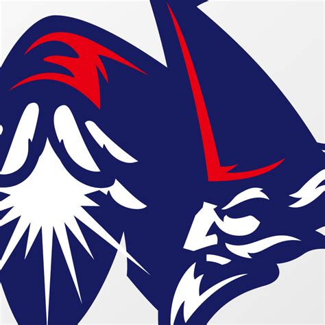 310.52 kb uploaded by papperopenna. Washington Wizards logo concept on Behance