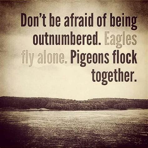 Dont Be Afraid Of Being Outnumbered Eagles Fly Alone