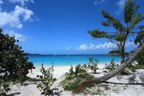 Trunk Bay Beach Virgin Islands National Park 2020 All You Need To