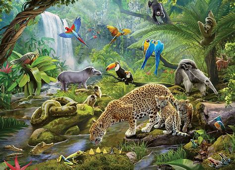 Buy Ravensburger Rainforest Animals Puzzle 60pc