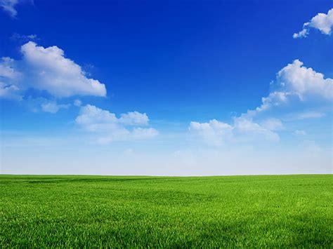 Green Grass Blue Sky Stock Photos Pictures And Royalty Free Images Istock