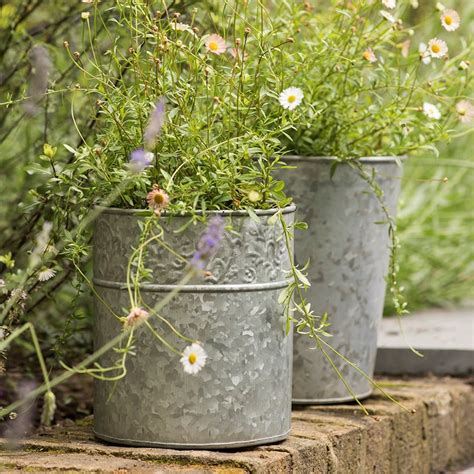 Buy Embossed Galvanised Pot Delivery By Waitrose Garden