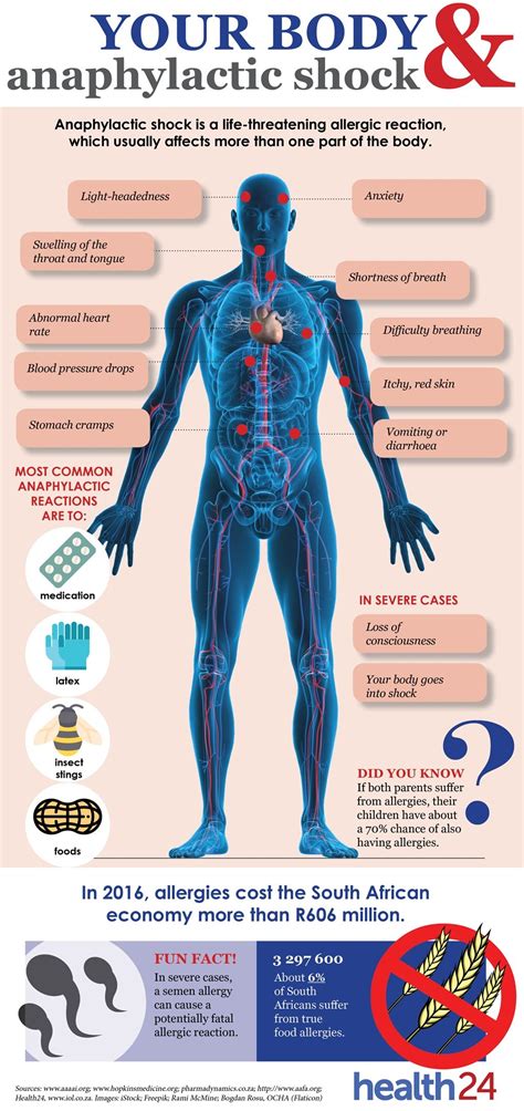 See How Anaphylactic Shock Affects Your Body Health24