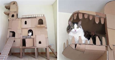 Jadi membuat sebuaj rumah kucing dari kardus ini sebenarnya sangat murah dan mudah, hanya tinggal bagaimana kamu membuat sebuah desainya. Bikin Rumah Naga Dari Kardus Untuk Meonghormati "Masternya ...