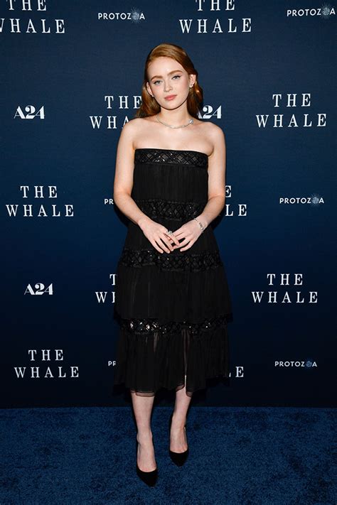 Sadie Sink Wows In Strapless Black Dress For ‘the Whale Screening Hollywood Life