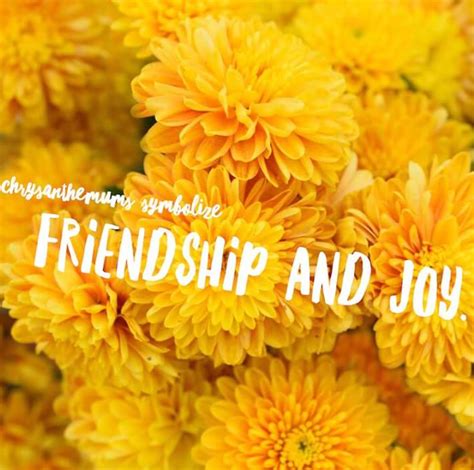 Maybe you would like to learn more about one of these? November's birth flower, the chrysanthemum, symbolizes ...