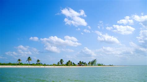 Visit Isla Holbox 2023 Travel Guide For Isla Holbox Quintana Roo