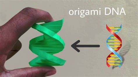 Origami Dna Youtube