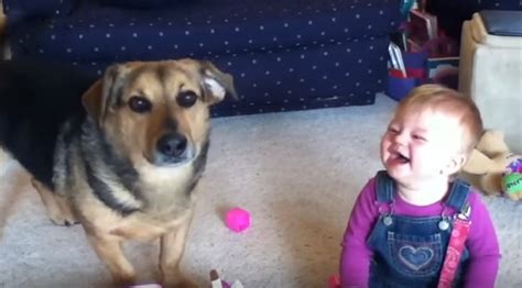 Baby Laughs Hysterically At The Dog Eating Bubbles Then Someone Slowed