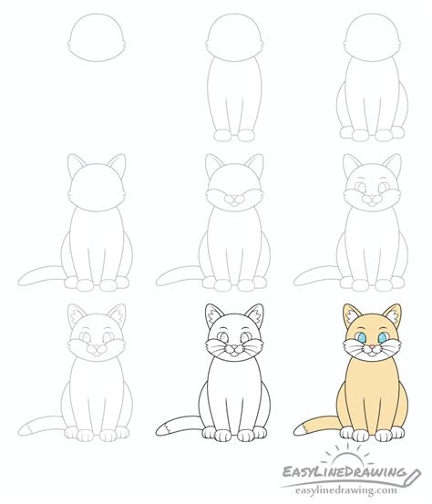 How To Draw A Cat Step By Step Easylinedrawing