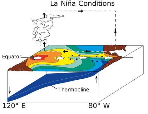What Is El Niño The Full Explanation A Z Animals