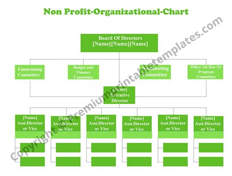 Non Profit Organizational Chart Printable Template Pack Of 5