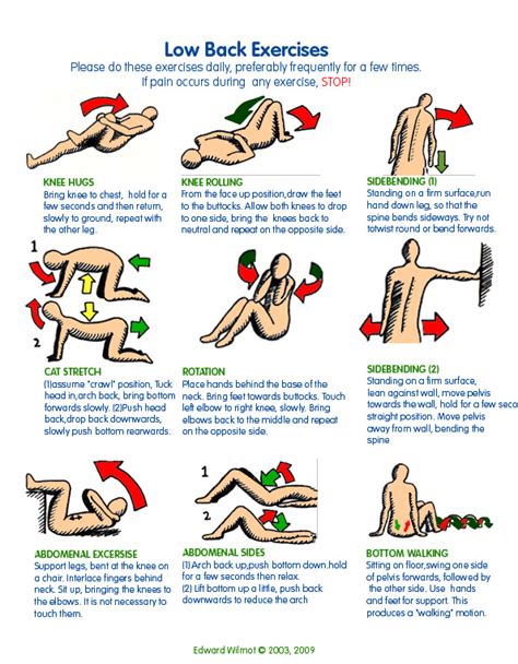 Relieve Your Lower Back Pain With Simple Strengethening Exercises