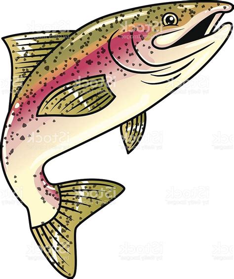 Rainbow Trout Clipart At Getdrawings Free Download