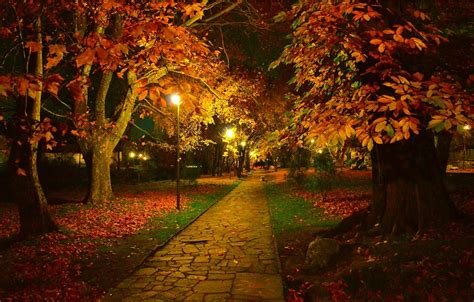 Обои Ночь Осень Деревья Фонари Парк Fall Листва Дорожка Night