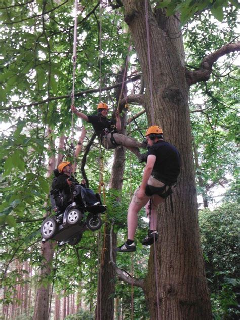 You Can Climb A Tree Even If You Use A Wheelchair Neatorama