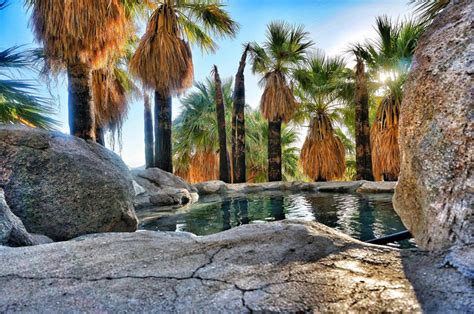 Peninsula Picks Best Baja Hot Springs Discover Baja Travel Club