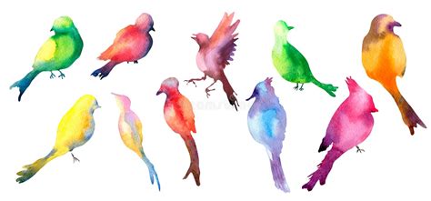 Set Of Colorful Birds Silhouette Watercolor Illustration White