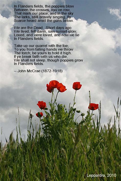In Flanders Field Holidayremembrance Day Pinterest Poems Days