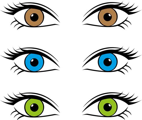 Brown Female Eyes Clip Art Web Clipart Png Clipart Library Clip