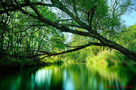 Free backgrounds screensavers wallpaper cave from wallpapercave.com. Best & Top Natural HD Screensaver Of 2014 | HD Wallpaper ...