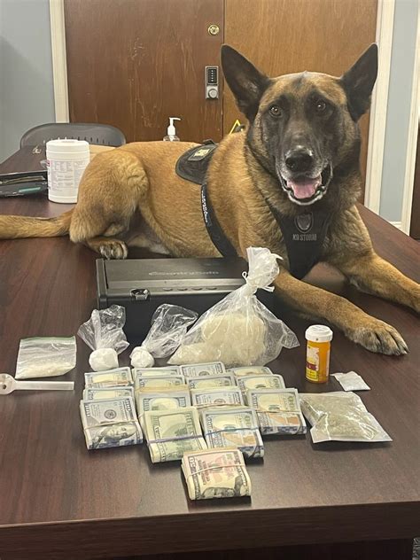 Bonito El Perro Policía Que Atrapa Narcos En Nc Qué Pasa