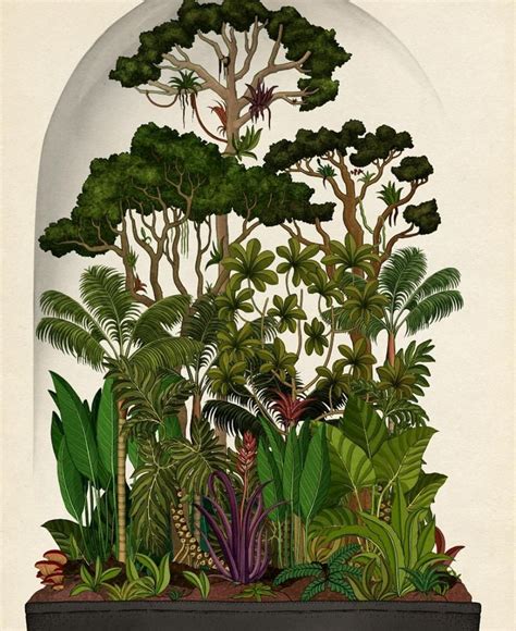 The Botanical Drawings Of Katie Scott In Botanical Drawings