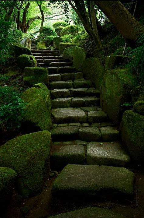 Mossy Stairs To Hōkoku Ji Temple In Kamakura Japan Kamakura Beautiful