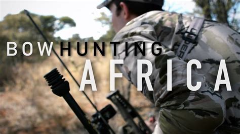 Massive Warthog And Two Hartebeest — Bow Hunting Africa Toekoms