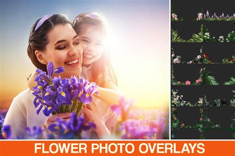 Discover Best Collection Of Flower Photoshop Overlays Overlay Photoshop