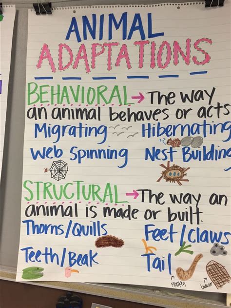 Chart In The Classroom That Gives An Overview Of Different Kinds Of