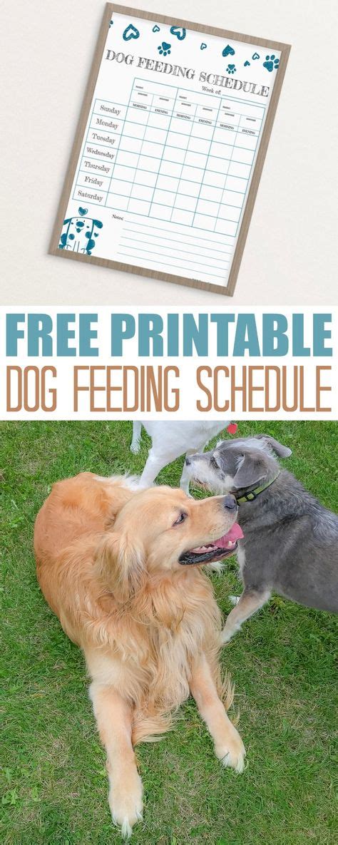 Free Printable Feeding Schedule To Track Your Dogs Food Dog Feeding