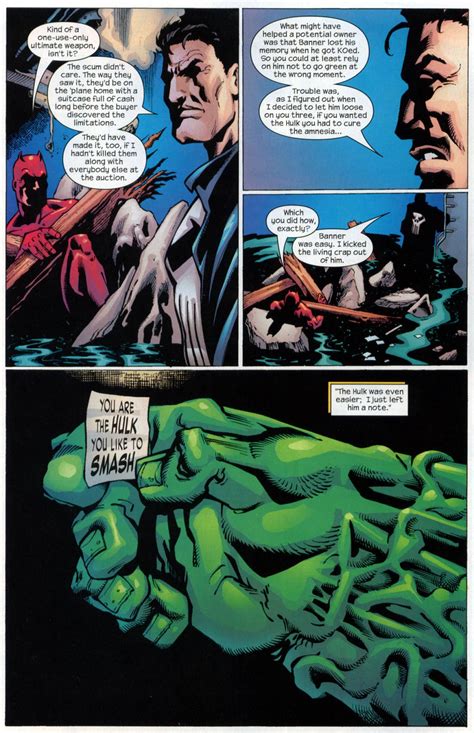 Punisher Vs Hulk World War Hulk Story Arc Battles Comic Vine