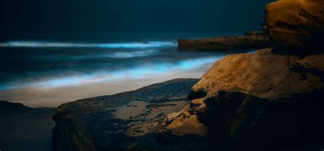 How To Photograph Bioluminescence 4 Easy To Follow Steps Camera