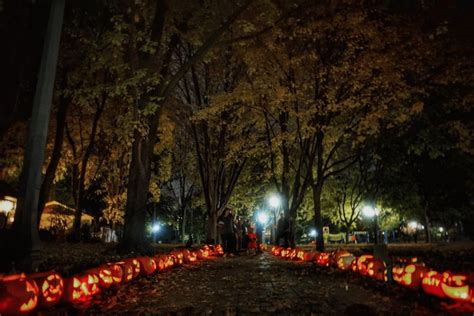 The 20 Best Jack O Lanterns From Last Nights Pumpkin Parades