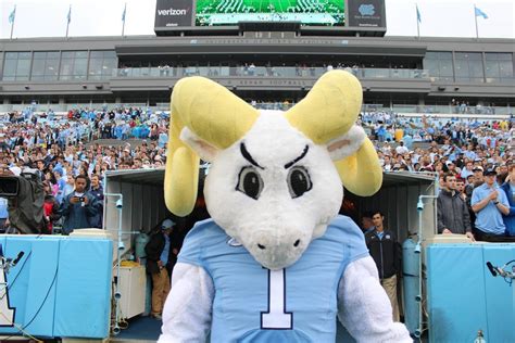 Rameses: A Mascot's Story - History on the Hill
