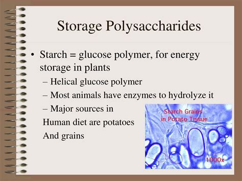 Glucose, fructose and sucrose) and complex carbohydrates (large molecules called polymers made of hundreds of simple sugars). PPT - Carbohydrates (sugars) PowerPoint Presentation, free ...