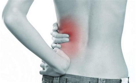 👉 Kidney Pain Location Anatomy Lower Back Vs Back Pain Causes