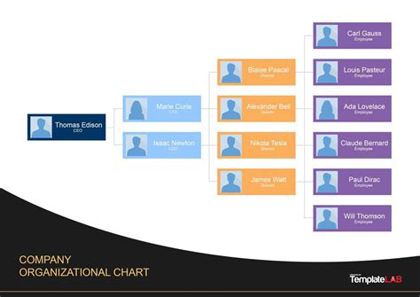 40 Organizational Chart Templates Word Excel Powerpoint For Company