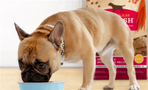 The recipes are easy to serve and are also favorably rated with trusted dog food reviewers as well. Rachael Ray Nutrish Dog Food 2019 Reviews - Best & Worst ...
