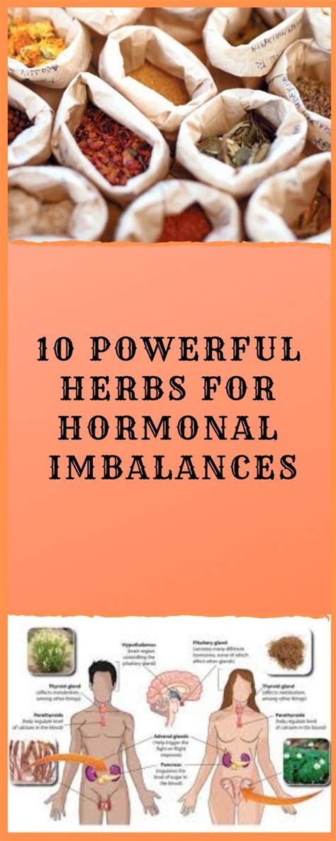 10 Powerful Herbs For Hormonal Imbalances Hormone Imbalance Hormones