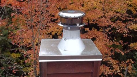 Pigeons are birds that can travel great distances. How to Get Rid of Pigeons