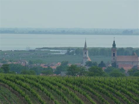 Choose from the wide range of maps for. Austria Burgenland - Neusiedler See Vineyards Village And ...