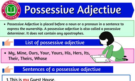 Possessive Adjectives Adverbs Linking Verbs Singular Nouns Some Sentences Possessives